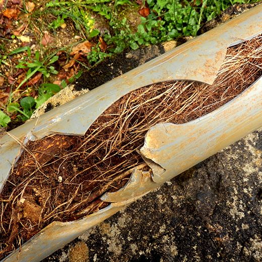 Same Day Drain Sewer & Rooter Pros Across Bow